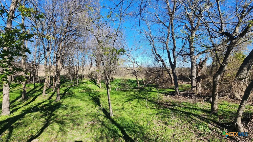 Bigham Road Troy, TX 76579