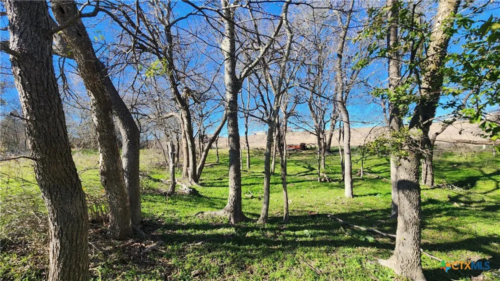 Bigham Road Troy, TX 76579