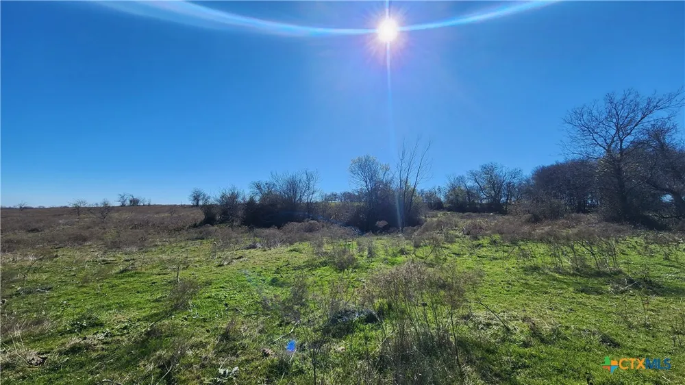 Bigham Road Troy, TX 76579