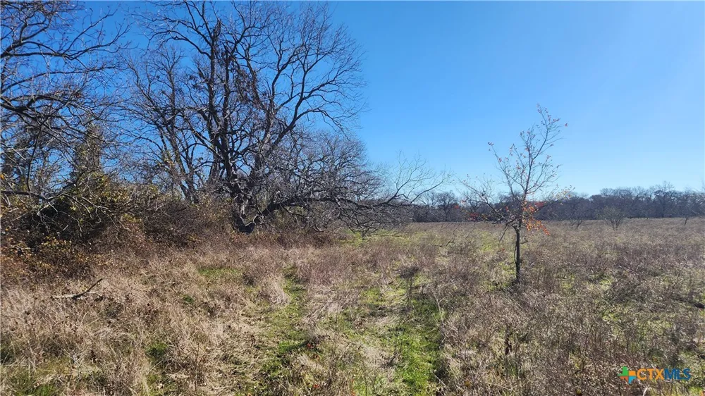 Bigham Road Troy, TX 76579