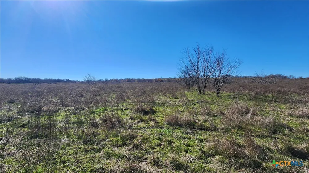 Bigham Road Troy, TX 76579