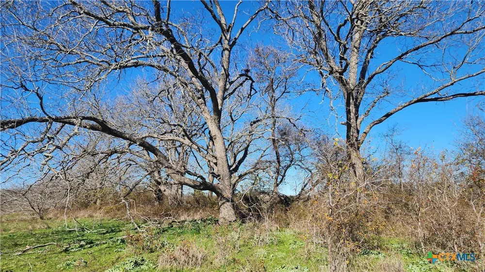 Bigham Road Troy, TX 76579