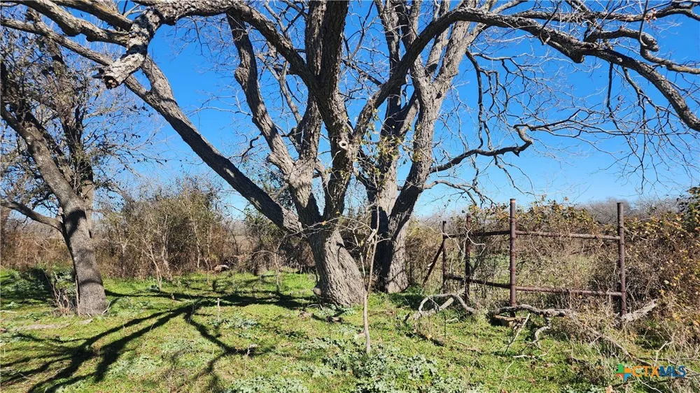 Bigham Road Troy, TX 76579
