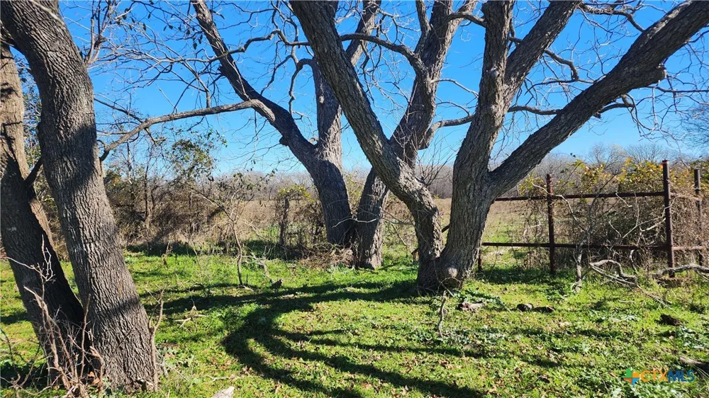 Bigham Road Troy, TX 76579