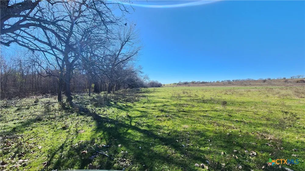 Bigham Road Troy, TX 76579