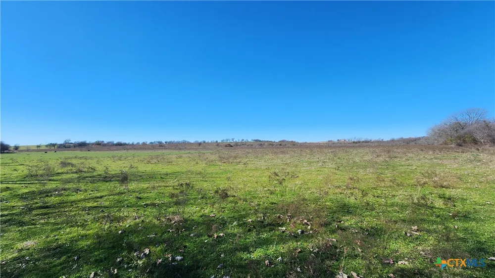 Bigham Road Troy, TX 76579