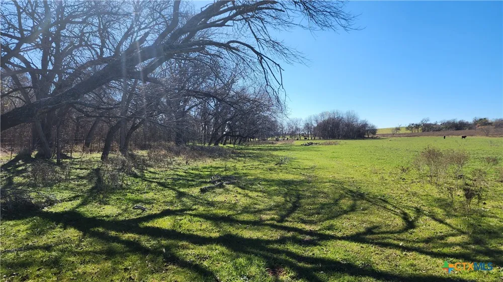 Bigham Road Troy, TX 76579