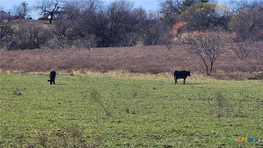 Bigham Road Troy, TX 76579