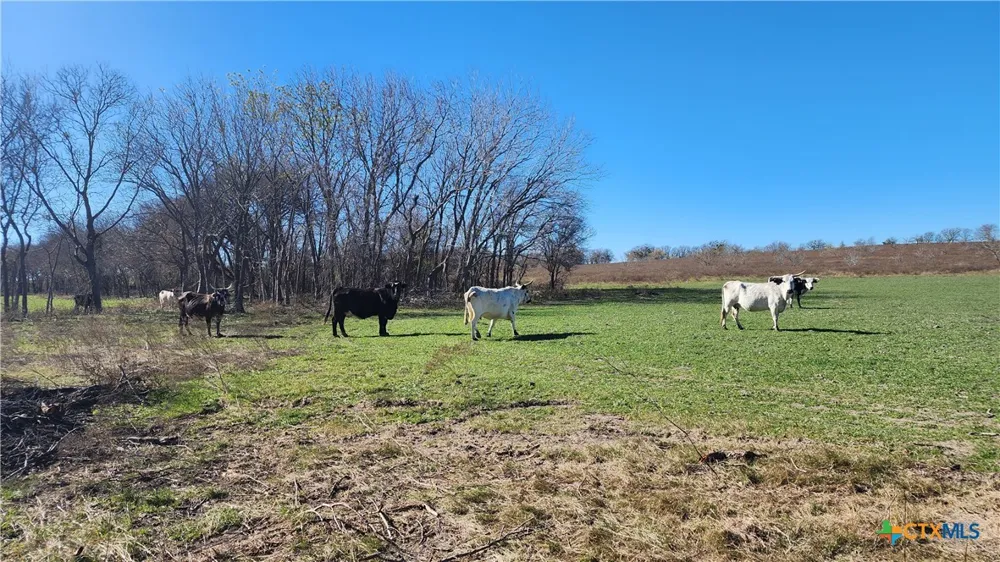Bigham Road Troy, TX 76579