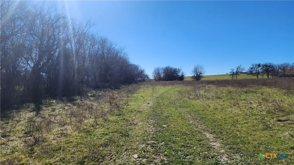 Bigham Road Troy, TX 76579