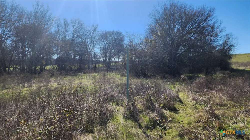 Bigham Road Troy, TX 76579