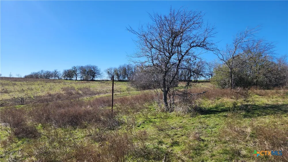 Bigham Road Troy, TX 76579