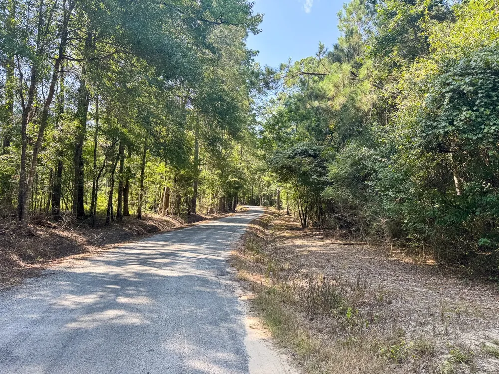 State Road 3205 Oberlin, LA 71463