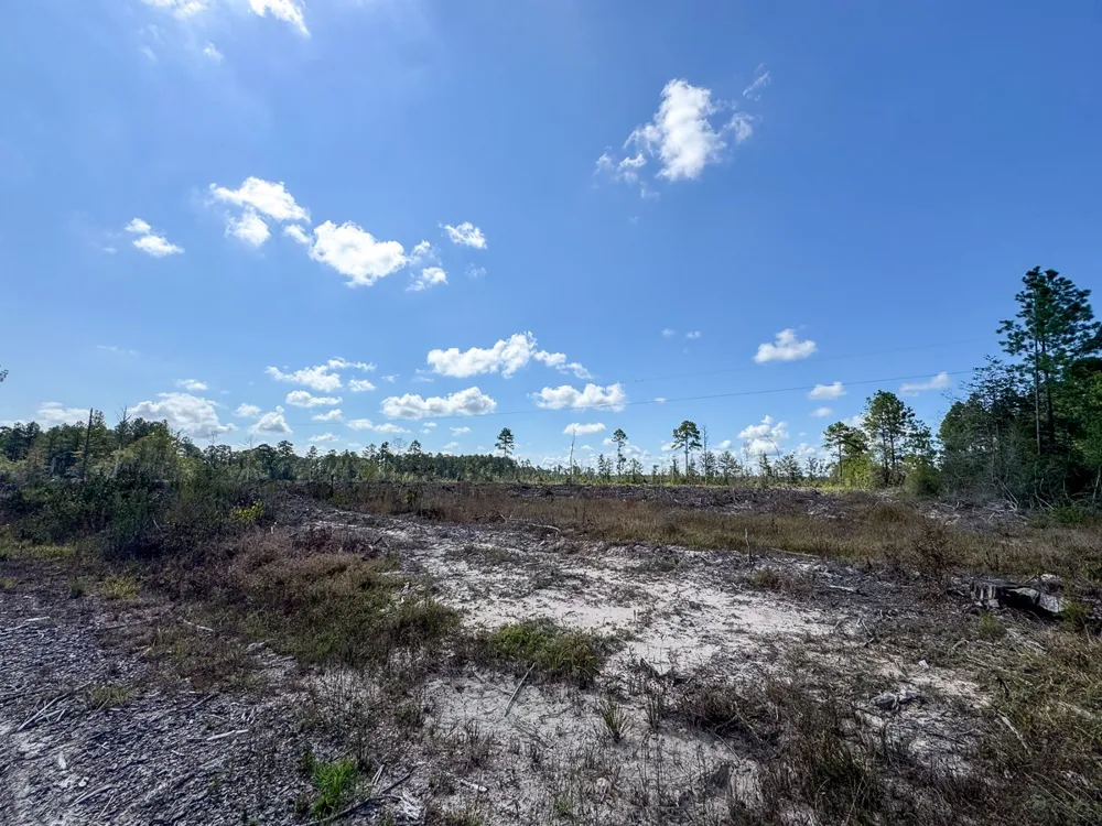 State Road 3205 Oberlin, LA 71463