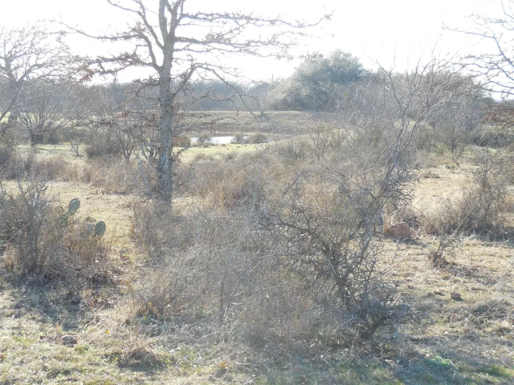 12436 County Road 134 Ranger, TX 76470