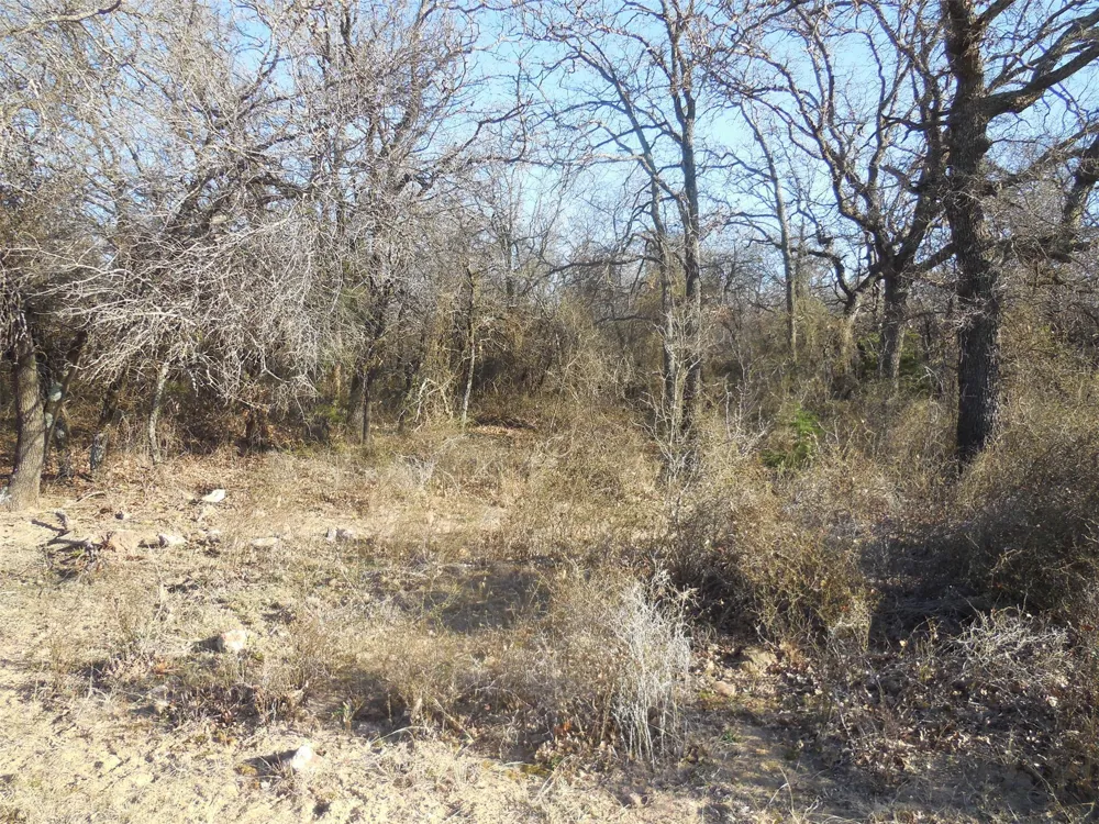 12436 County Road 134 Ranger, TX 76470