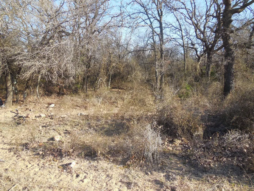 12436 County Road 134 Ranger, TX 76470