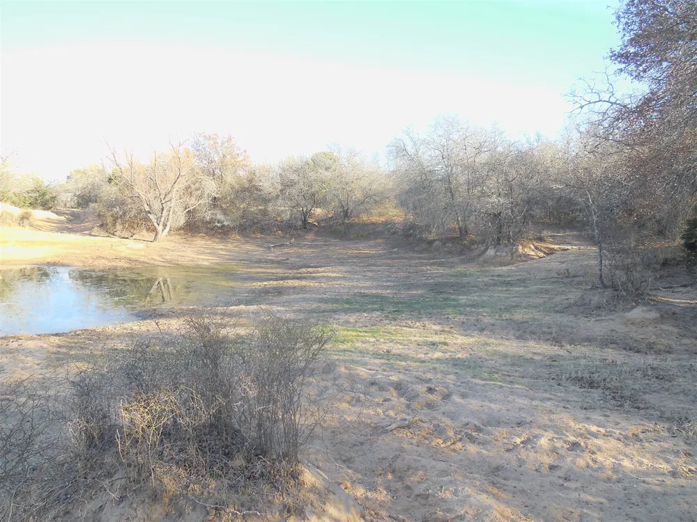 12436 County Road 134 Ranger, TX 76470