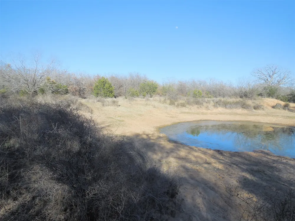 12436 County Road 134 Ranger, TX 76470