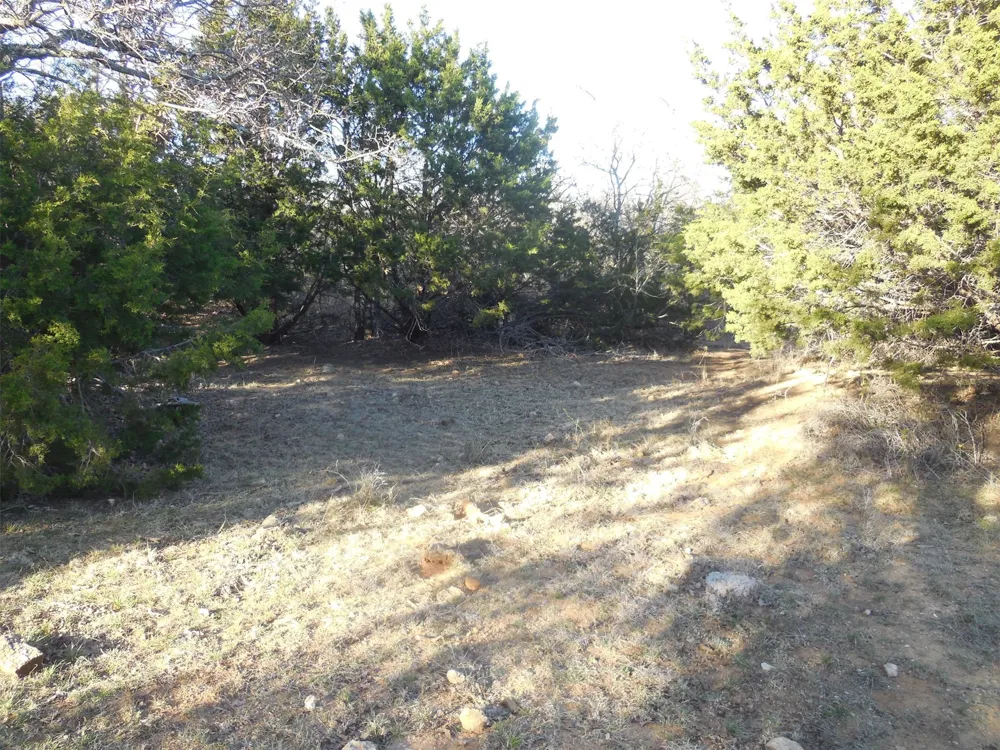 12436 County Road 134 Ranger, TX 76470