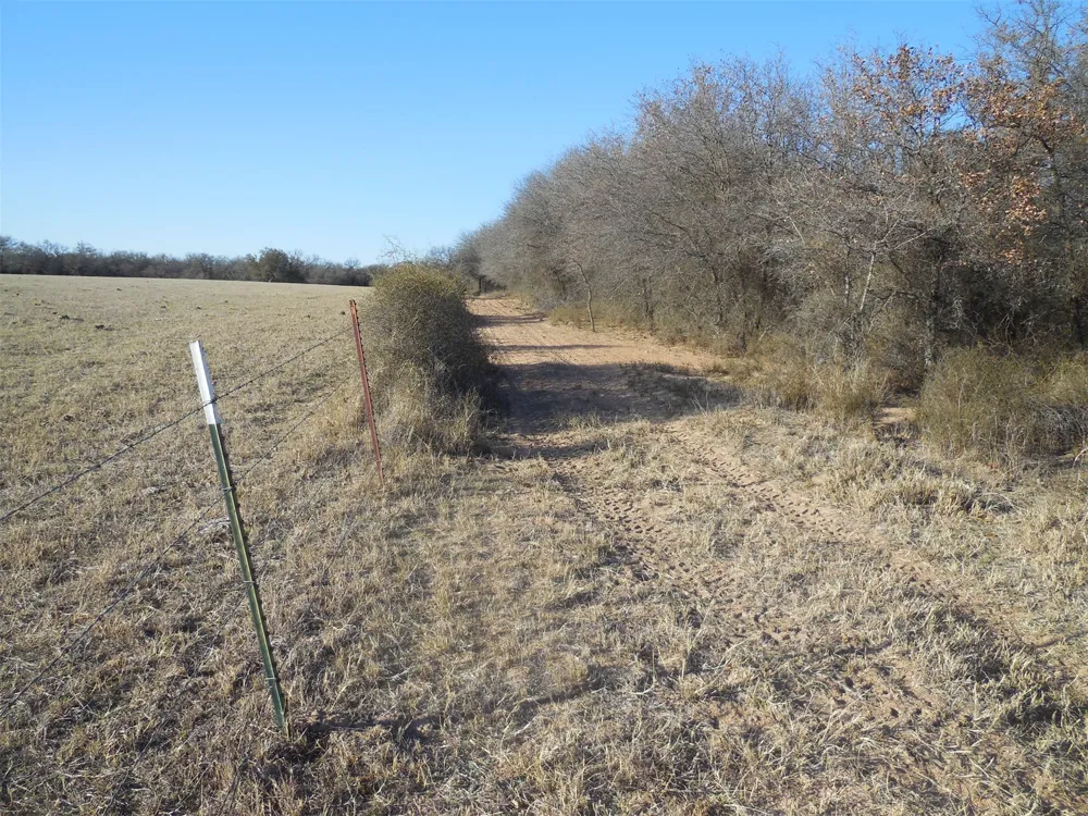 12436 County Road 134 Ranger, TX 76470