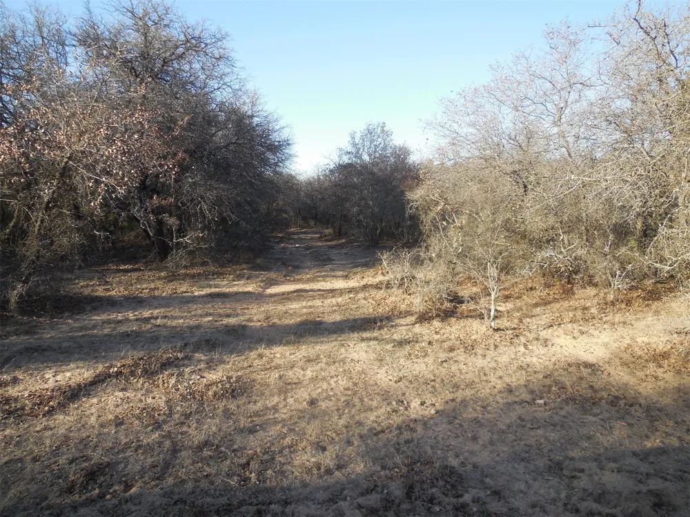 12436 County Road 134 Ranger, TX 76470
