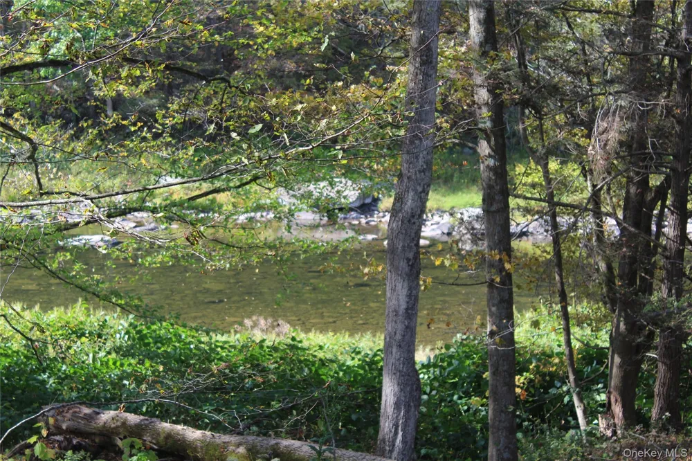 Peakville Road Roscoe, NY 13783