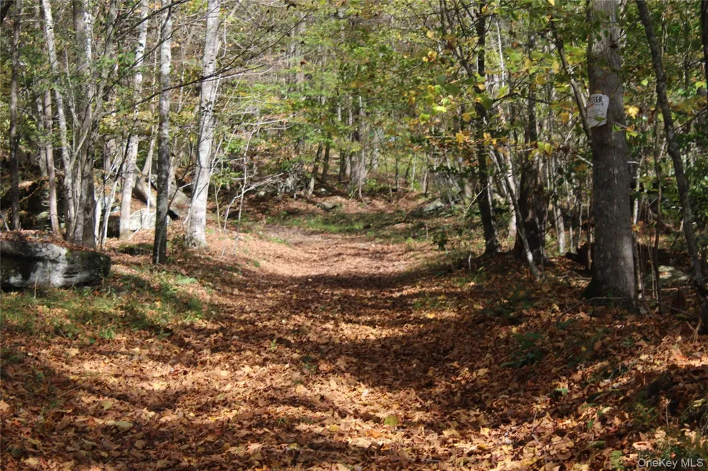 Peakville Road Roscoe, NY 13783