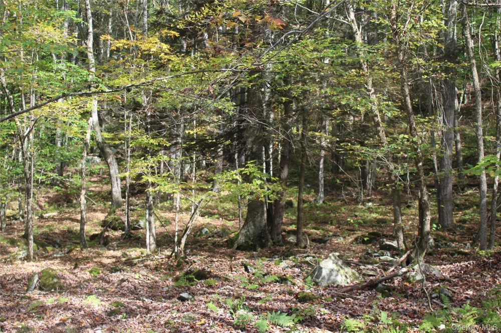 Peakville Road Roscoe, NY 13783