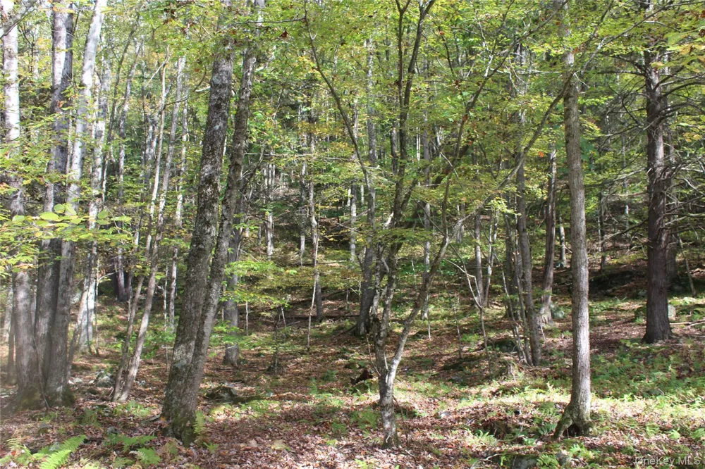 Peakville Road Roscoe, NY 13783