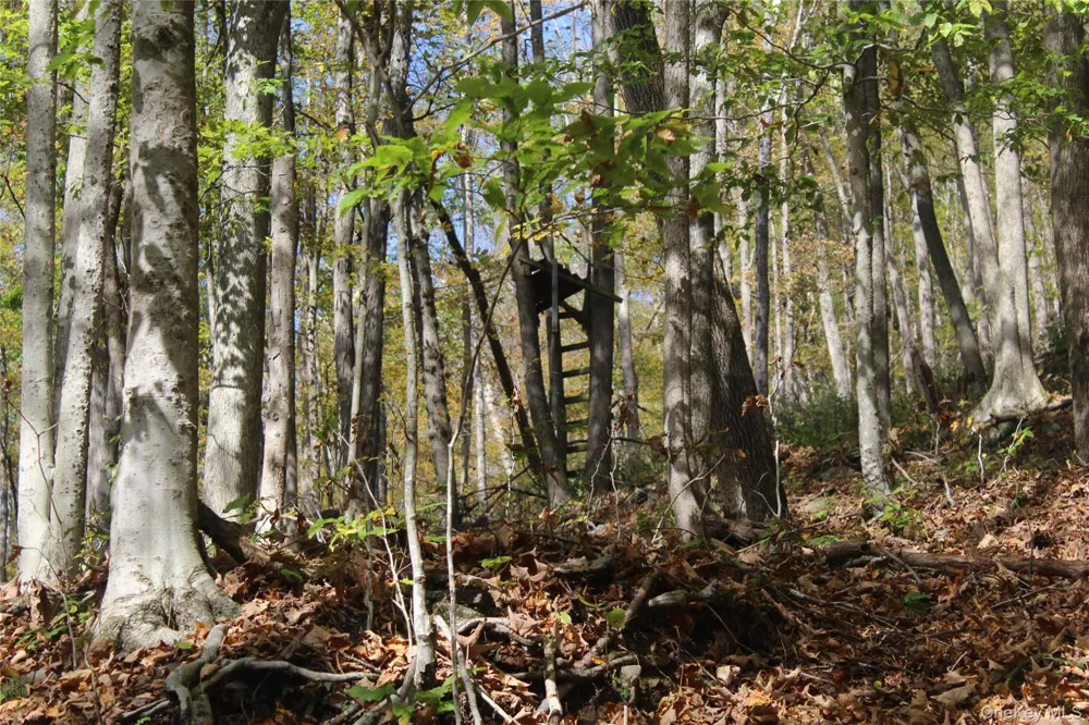 Peakville Road Roscoe, NY 13783