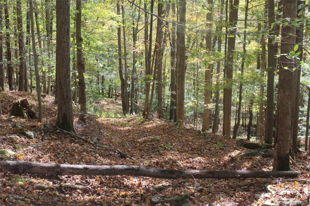 Peakville Road Roscoe, NY 13783