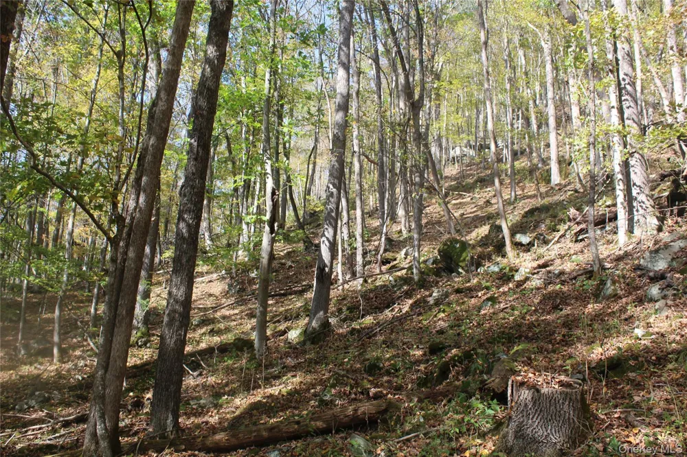 Peakville Road Roscoe, NY 13783