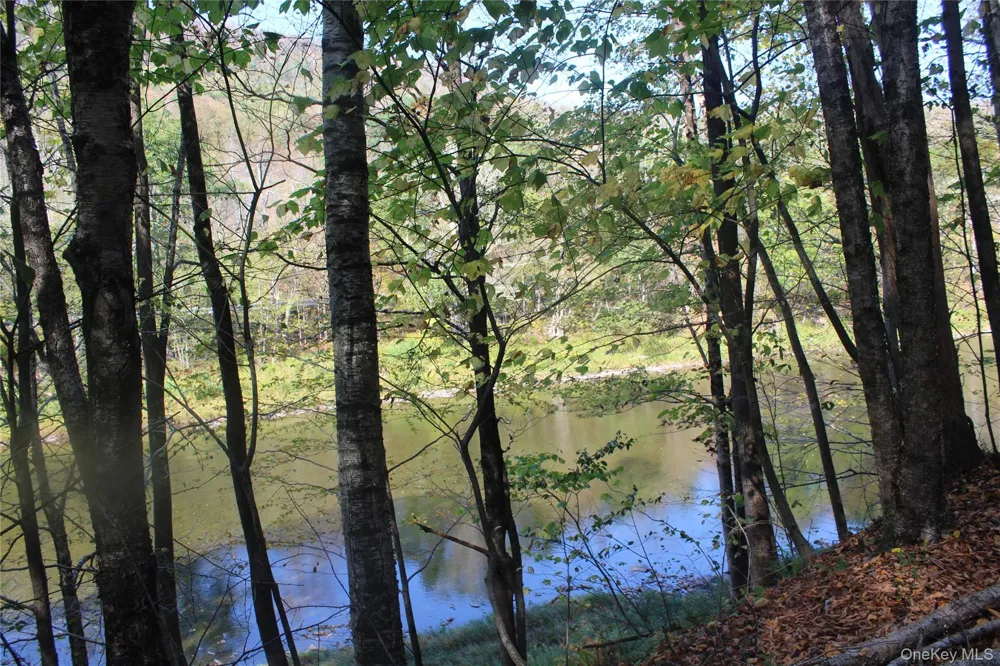 Peakville Road Roscoe, NY 13783