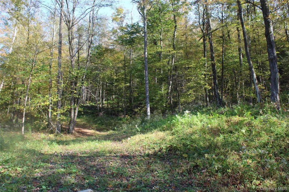 Peakville Road Roscoe, NY 13783