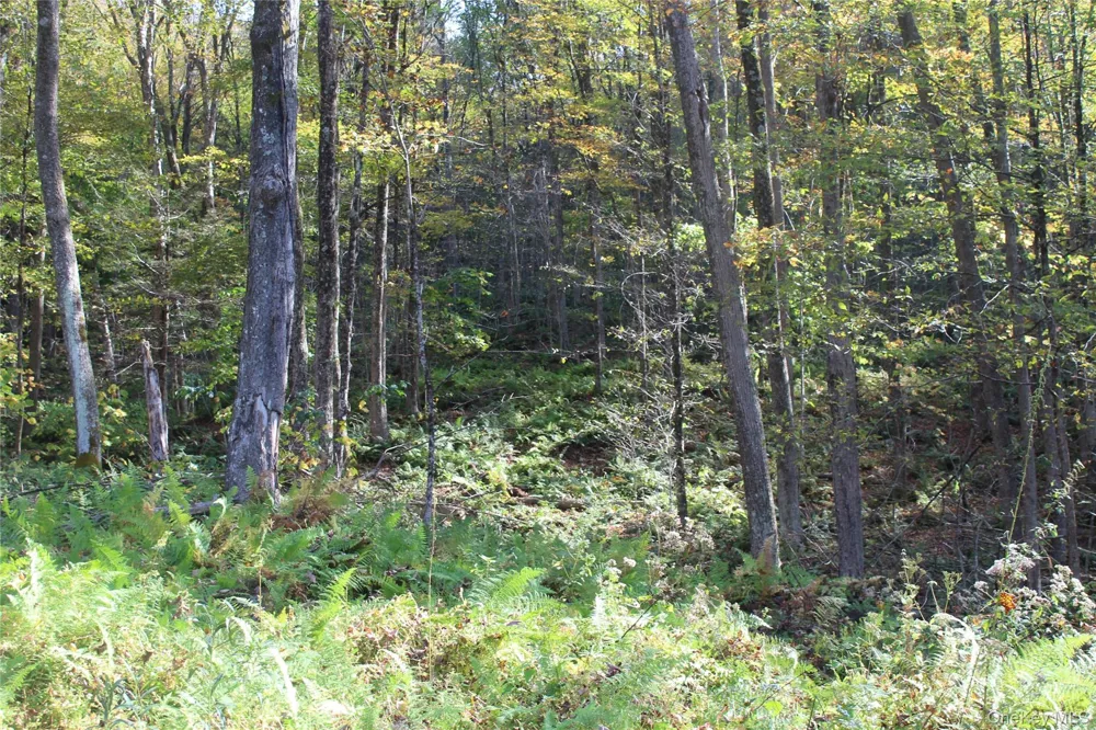 Peakville Road Roscoe, NY 13783