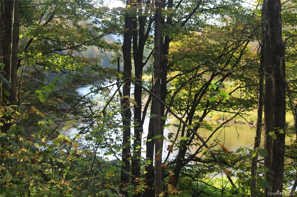 Peakville Road Roscoe, NY 13783