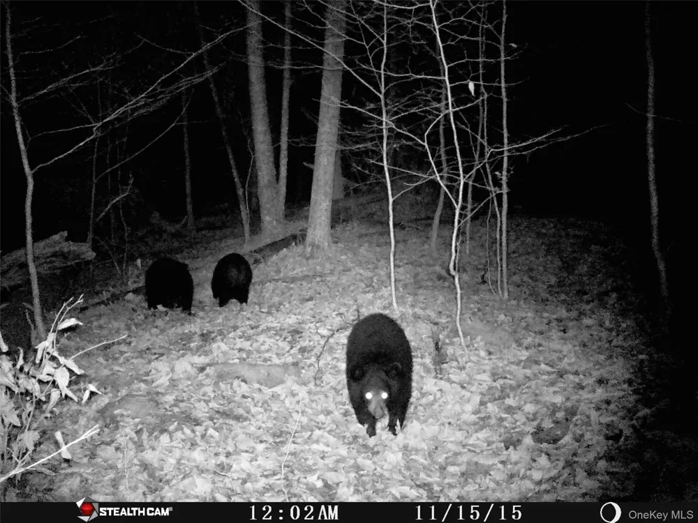 Peakville Road Roscoe, NY 13783