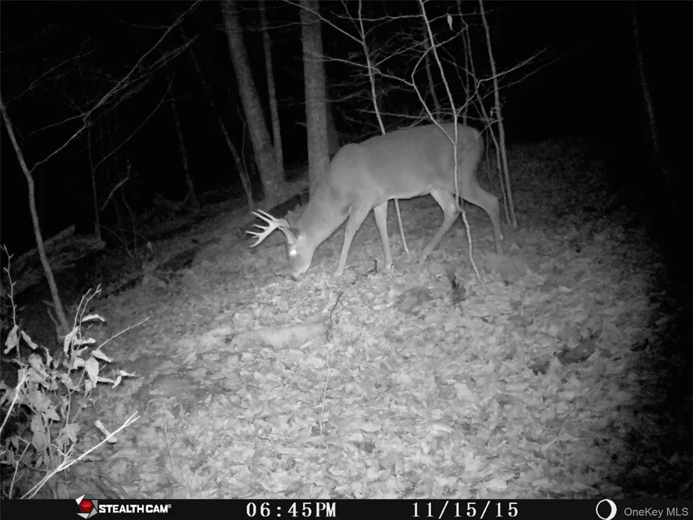 Peakville Road Roscoe, NY 13783