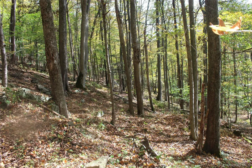 Peakville Road Roscoe, NY 13783