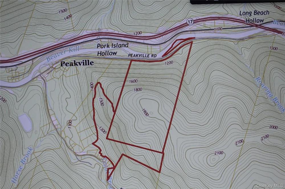 Peakville Road Roscoe, NY 13783