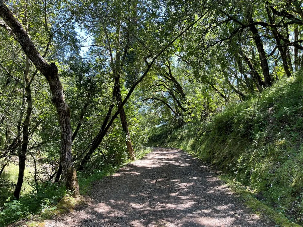 12760 Green Valley Road Sebastopol, CA 95472