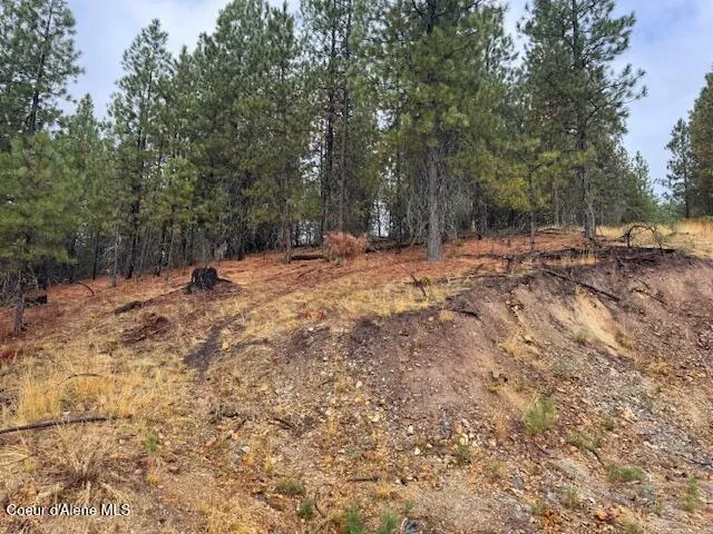 NKA Parcel A Pinehurst, ID 83850