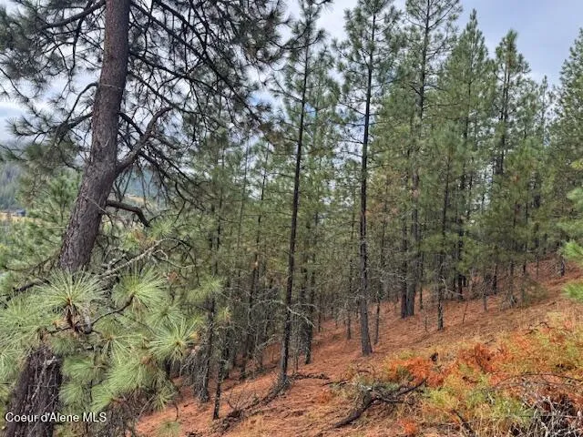 NKA Parcel A Pinehurst, ID 83850