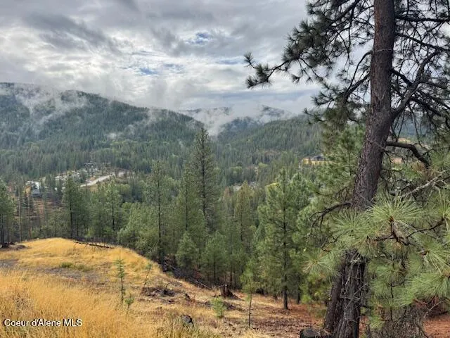 NKA Parcel A Pinehurst, ID 83850