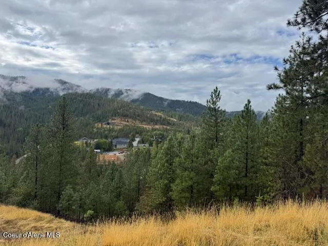 NKA Parcel A Pinehurst, ID 83850
