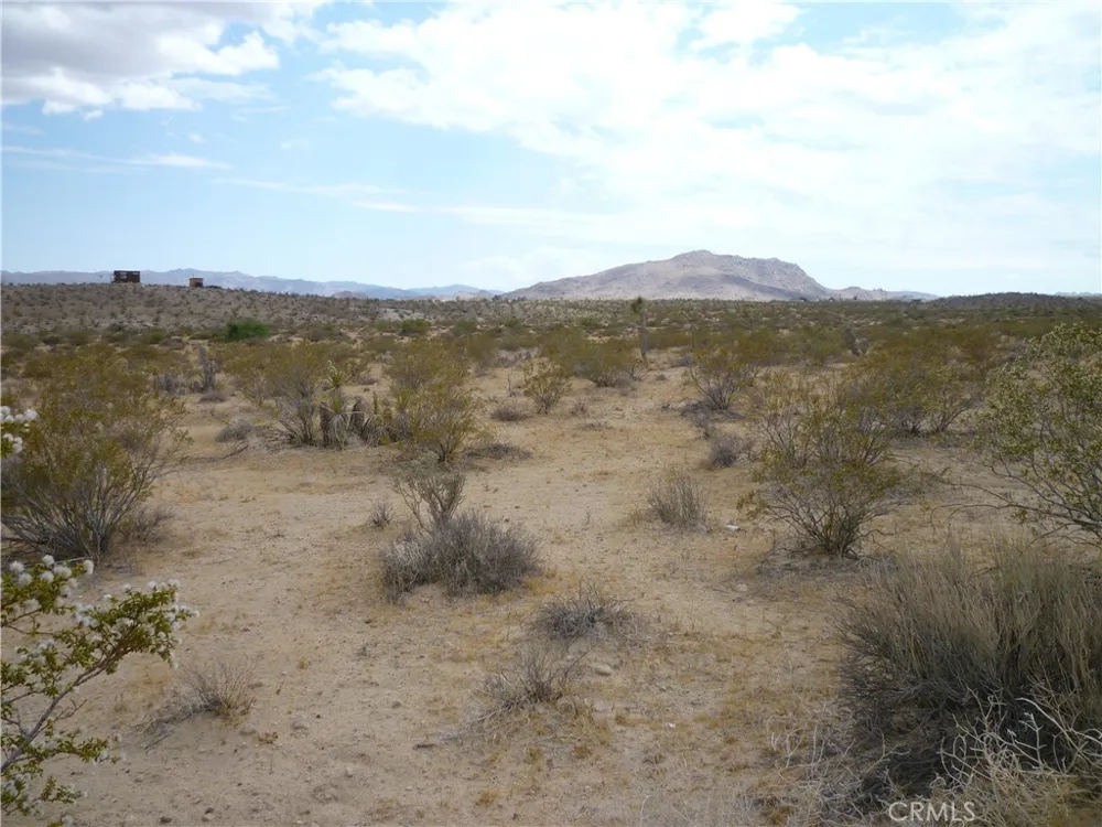 2345 Sunny Sands Drive Joshua Tree, CA 92252