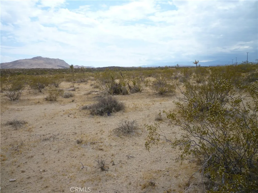 2345 Sunny Sands Drive Joshua Tree, CA 92252