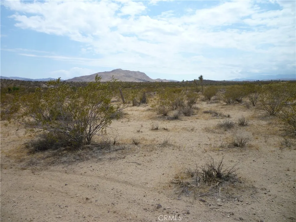 2345 Sunny Sands Drive Joshua Tree, CA 92252