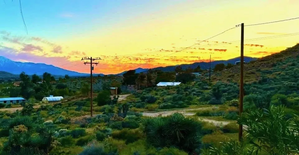 8787 Via La Scala Morongo Valley, CA 92256